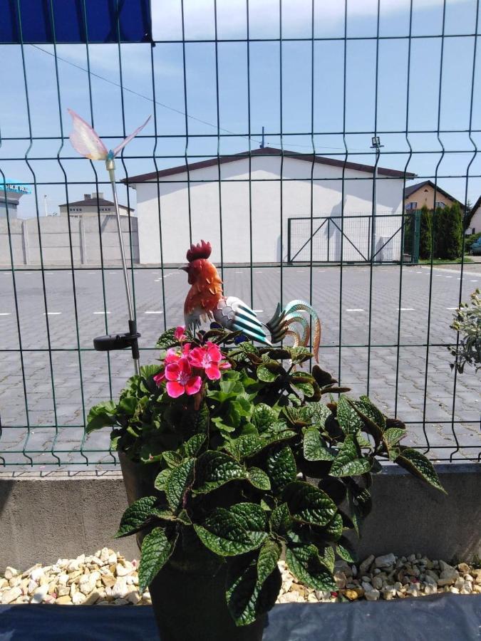 Pod Kogucikiem Lejlighedshotel Krzyzanowice Eksteriør billede