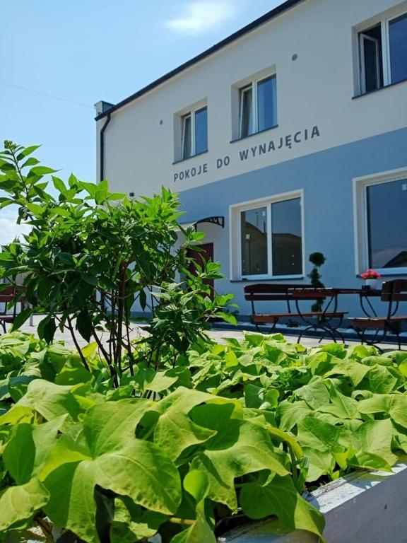 Pod Kogucikiem Lejlighedshotel Krzyzanowice Eksteriør billede